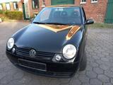Volkswagen VW Lupo 1,0 MPI Zahnriemensatz, Inspektion... - Volkswagen Lupo: Zahnriemen