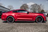 Ford Mustang 2.3Premium/SHZ/Luft/Navi/ACC/Shelby/Voll - Ford: Shelby