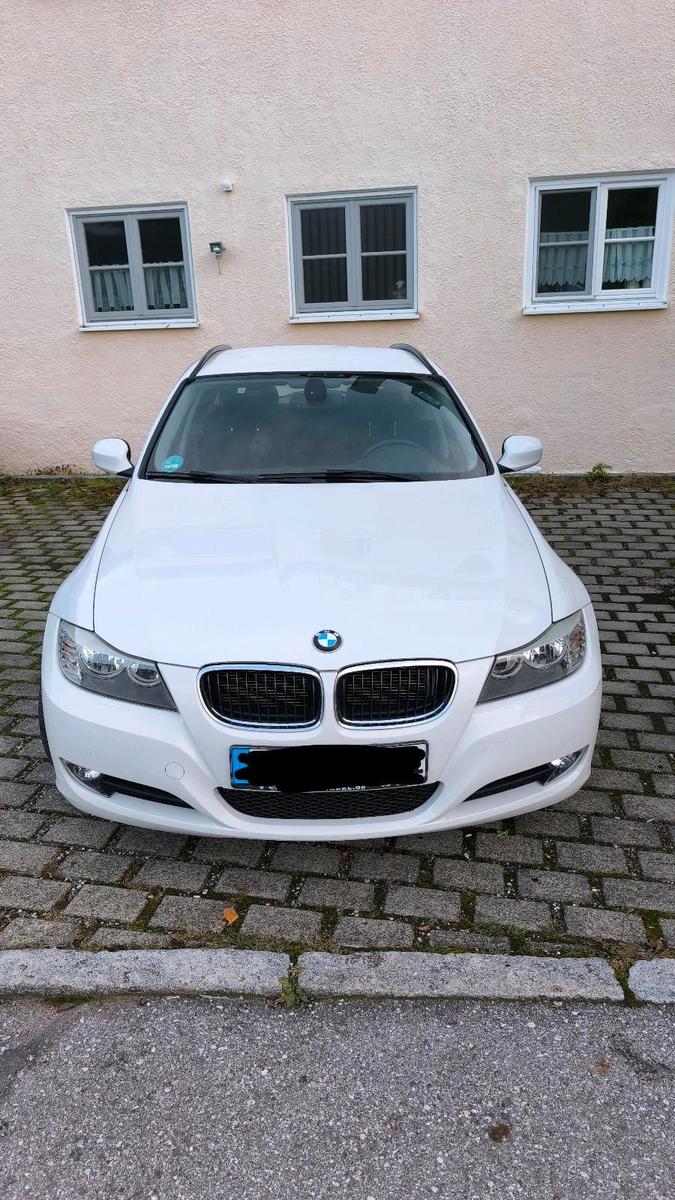 BMW 318 2010 — rear view