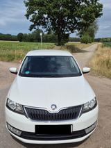 Skoda Rapid 1.2 TSI 81kW  - Skoda Rapid: Privatanbieter