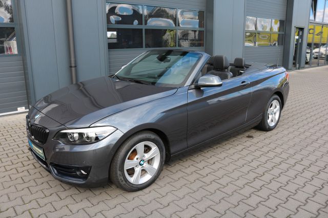 BMW 218i Cabrio Sport Line AUT LED NAVI HIFI LEDER