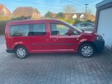 Volkswagen VW Caddy Maxi Roncalli 1.6 TDI - Volkswagen Caddy Maxi: Roncalli