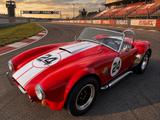 Cobra Andere REPLICA,KITCAR,