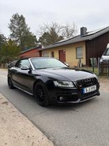 Audi S5 3.0 TFSI S tronic Quattro Cabriolet - Audi S5 aus 2011: Cabrio