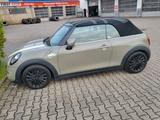 MINI Cooper SD Cabrio Cooper ***voll***Garage*** - MINI Cooper SD Cabrio Gebrauchtwagen