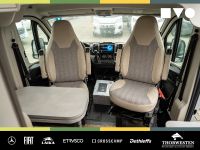 Autohaus Thorwesten Gebrauchtwagen