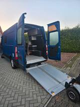 Opel Movano umbebauter Camper mit eingebauter Rampea - Opel Movano: Kleinbus