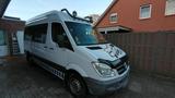 Mercedes-Benz Mercedes Sprinter L2H2 313 Renntransporter... - Renntransporter