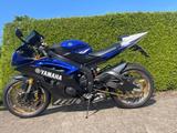 Yamaha YZF R6 RJ15 Blau, schwarz & gold - Supersport - Offers
