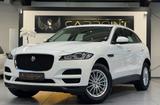 Jaguar F-Pace 2.0l  Pure AWD AHK/LED/Navi/BT/SHZ - Jaguar mit Diesel-Antrieb