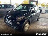 Smart forfour Basis, Komfort, Cool & Audio - Smart ForFour Gebrauchtwagen in Düsseldorf
