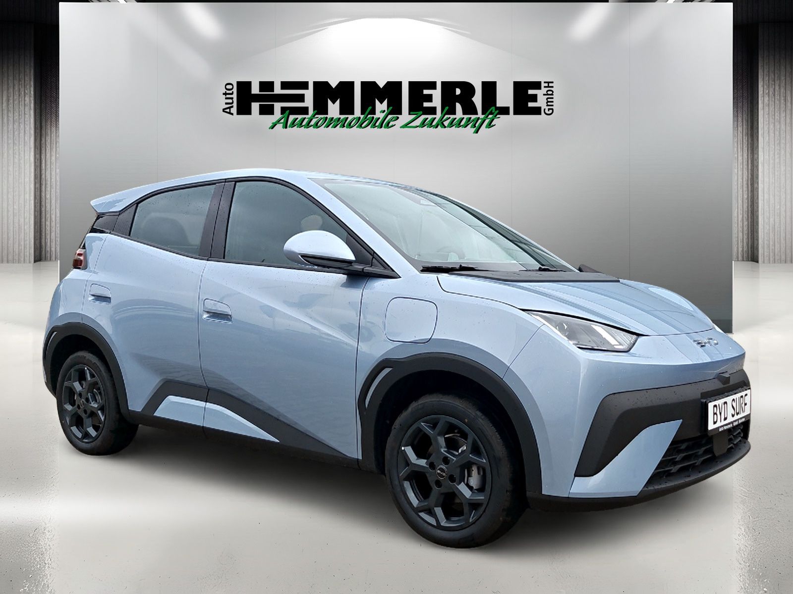 BYD Comfort !!! imagem 2