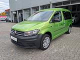 Volkswagen Caddy PKW Maxi*ROLLSTUHL-RAMPE*KAMERA*PDC* - : Standheizung, Pkw