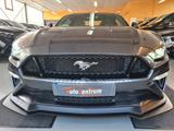 Ford Mustang GT Fastback Recaro*Performance*Klp-Auspf - Ford Mustang Gebrauchtwagen in Mönchengladbach