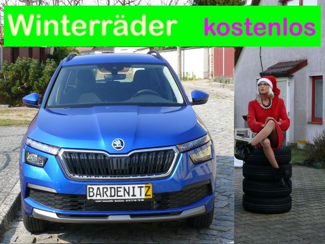 Skoda Kamiq Ambition 110 PS DSG Winterräder Video