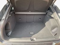 Cupra Terramar - Vorschau Bild 11