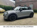 MINI Cooper Cabrio *LED*SHZ*Klimaautomatik* Chili II*