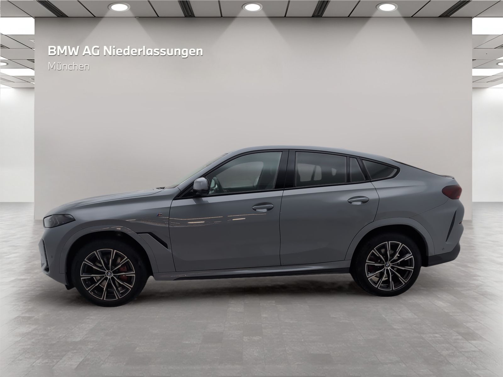 BMW X6 xDrive30d M Sport Harman K LiveCockpitProf foto 2
