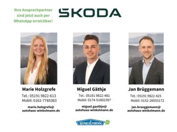 Skoda Kodiaq - 4