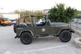 Jeep Wrangler YJ 4.0 - gebrauchte Jeep Wrangler aus dem Jahr 1995