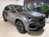 Cupra Ateca 1.5 TSI Automatik - silberne Cupra Ateca