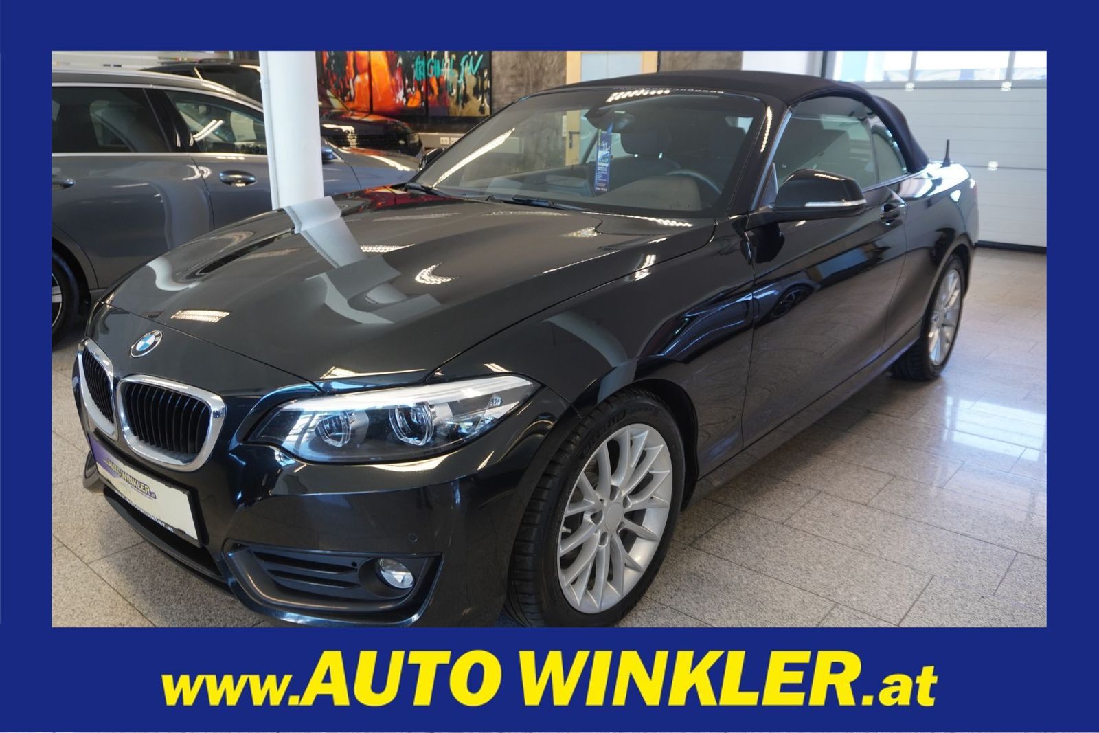 BMW 218 d Cabrio Sportsitze/Tempomat