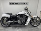 Harley-Davidson VRSCF MUSCLE V-ROD 1250 ABS WHITE SPECIAL BOVAGG - HARLEY-DAVIDSON V ROD MUSCLE VRSCF
