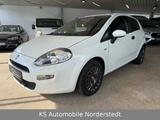 Fiat Punto  1.3 MULTIJET 85 HK 1 Hand - Fiat Punto: 1.3
