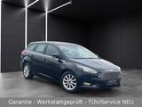 Ford Focus Titanium"Garantie-ServiceNEU"2.Hand - Ford: Service
