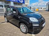 Fiat Panda/ PDC/KLIMA - Fiat Panda: Schwarz