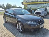 Audi A3 2.0 TDI Ambition Klimaaut. Allwetterräder Amb - Audi A3 aus 2004: TDI