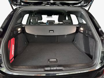Ford Focus - 5