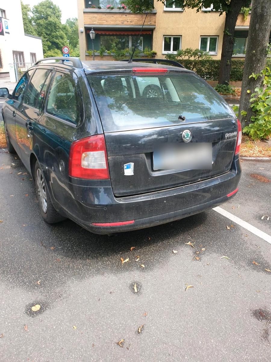 Skoda Octavia 2011 — rear view