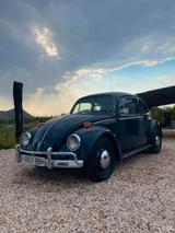 Volkswagen Käfer US Import, Fahrzeug ist einmalig - Oldtimer: Us