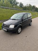 Fiat Panda - Fiat Panda Gebrauchtwagen in Karlsruhe