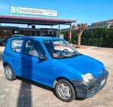 Fiat Seicento 1.1i cat Actual - Fiat Seicento aus 2004