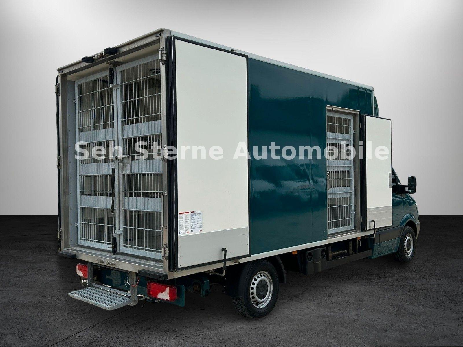 Mercedes-Benz Sprinter 316 CDI"Maxi"Tiertransport+ Thermo King