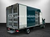 Mercedes-Benz Sprinter 316 CDI"Maxi"Tiertransport+ Thermo King - Mercedes-Benz The