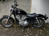 Harley-Davidson Sportster XL 883  - HARLEY-DAVIDSON 2003 SPORTSTER 883