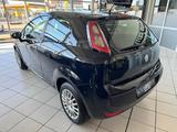 Fiat Punto 1.2 Evo Active *Klima*Insp.+Zahnriemen NEU - Fiat Punto Evo Gebrauchtwagen