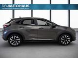 Ford Puma Titanium 1.0 EcoBoost Hybrid Pano AHK - Ford Puma Gebrauchtwagen in Frankfurt