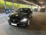 Jaguar XF 30d 300PS Prestige Automatik Prestige - Jaguar: X300