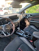 Kia pro_cee'd / ProCeed 1.6 T-GDI DCT GT GT - Kia pro cee'd / ProCeed aus 2023