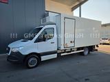Mercedes-Benz Sprinter 516 / Frigo / Thermo King Cool/Wenig Km - Angebote