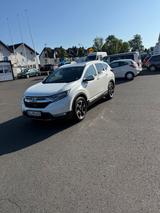 Honda zum verkaufen - Honda Gebrauchtwagen in Bonn