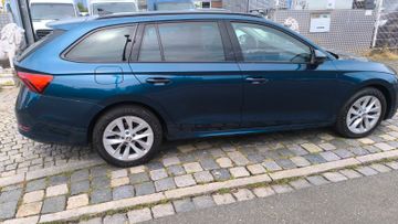 Skoda Octavia - 8