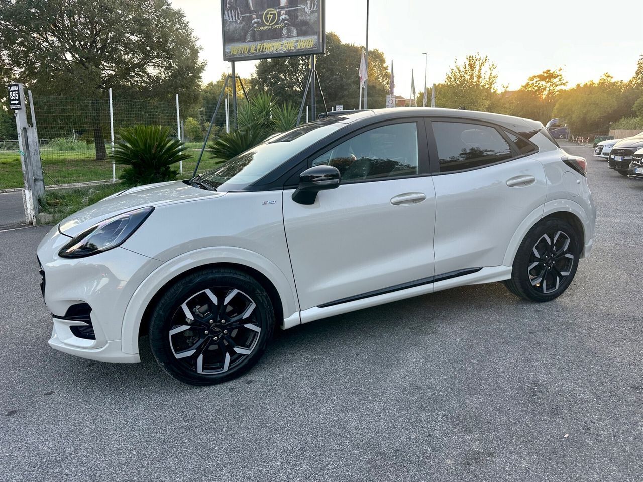 Ford Puma 1.0 EcoBoost Hybrid 125 CV S&S ST-Line