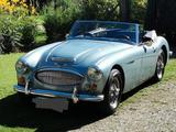 Austin Healey 3000 BJ8 MK3 - Austin Healey: Bj8