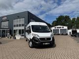 Fiat Ducato Shuttle 35 L4H2 ROLLSTUHL*STHZ*CAM*HU NEU - Fiat mit Diesel-Antrieb