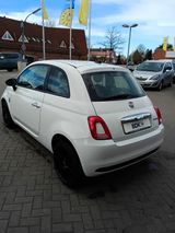 Fiat 500 Basis - Fiat 500 in Hamburg